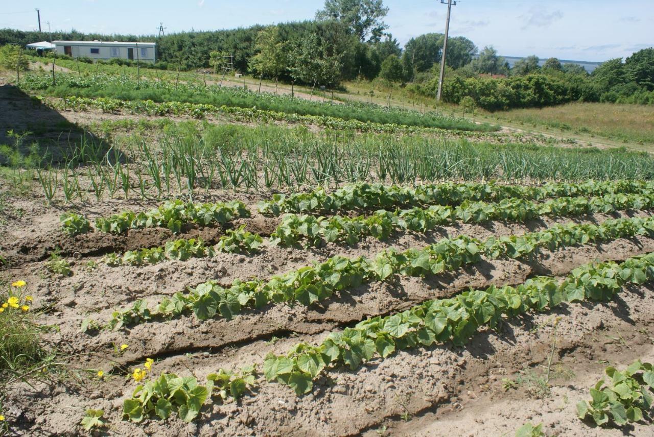Agrodomki Okej -Dom Kasjan Gardna Wielka Εξωτερικό φωτογραφία
